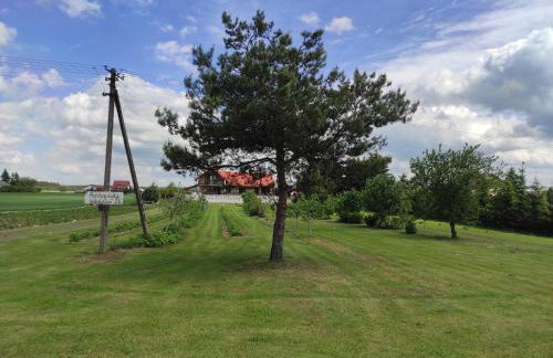 Agroturystyka Kobylnica nad Wisłą - Foto 62