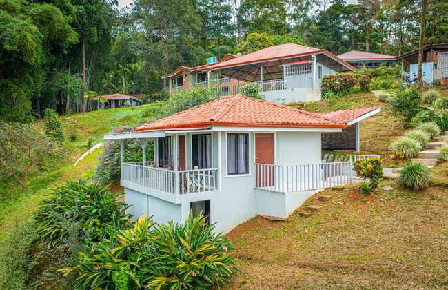 Colinas Tinamastes - Foto 36