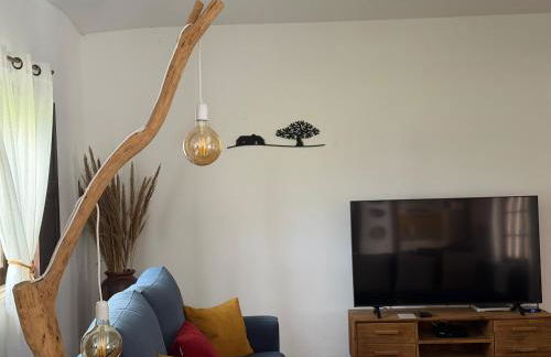 Quinta do Faisco - Photo 23