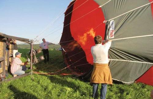 Baumhaus Hotel Voglsam - Foto 16