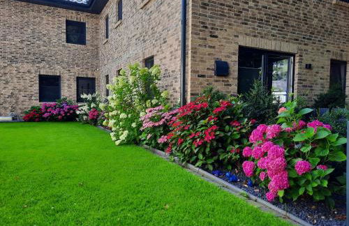 NEU! Ferienwohnung Amrum - Foto 18