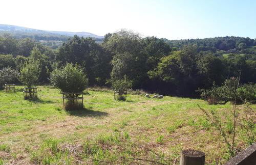 Shewte Farm - Foto 35