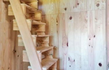 Le nid dans le chêne - Photo 15