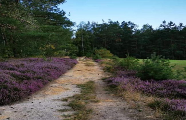 Chic Vacation Home near Forest in Sebnitz Germany - Foto 27