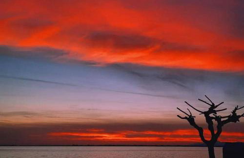 Διαμέρισμα Παραλία Μενιδίου - Foto 16