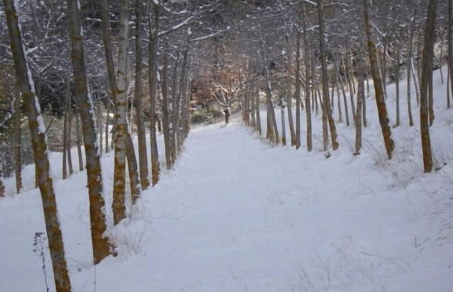 Agriturismo Istrice Innamorato - Foto 50