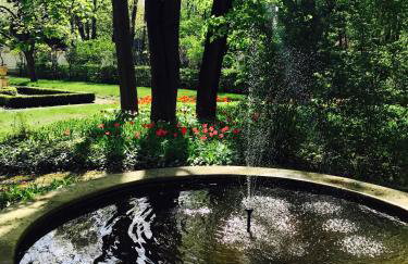 Willa Różana - Foto 16