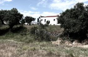 M Butterfly - Foto 26