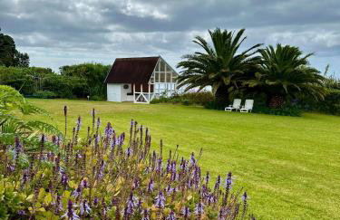 Lobo do Mar - Foto 14