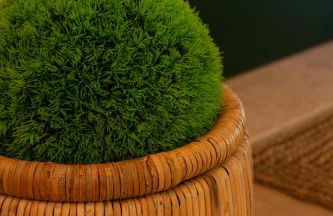 Vistaverde Harmony Apartments - Foto 41