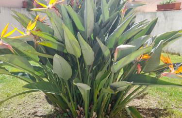 A Casa da Avó Ana - Foto 24