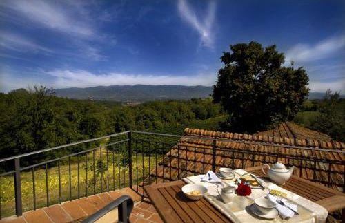 Agriturismo Podere Luisa - Foto 10