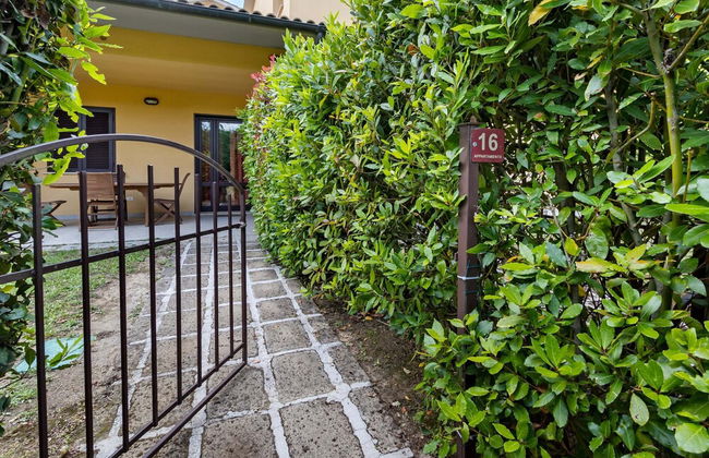 Gorgeous Holiday Home in Sorano With Swimming Pool - Foto 6