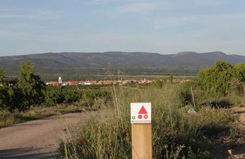 Casa Aurora, mi aldea ,entre viñas y almendros - Foto 8