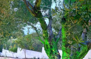 Sunrise Villa - Foto 80