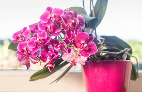 Ferienwohnung Marschall - Foto 9