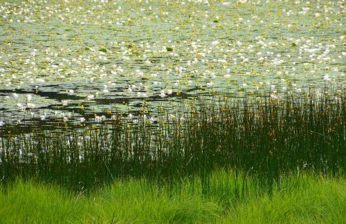 CASA MIFEL -- APP. GERANIO - Foto 17