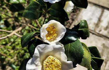 Wolds View - Foto 21