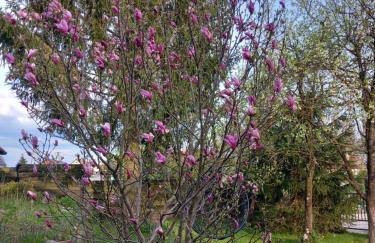 Agroturystyka Porbady - Foto 15