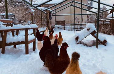 ökologisch Wohnen im Grünen - Foto 26