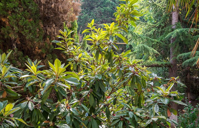 Cozy three bedroom apartment on Lenina - Foto 23