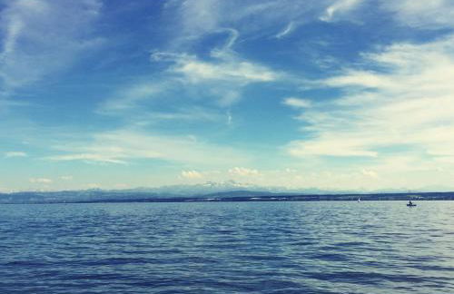 Blick ins Grüne - Foto 23