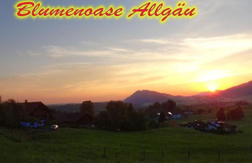 Blumenoase Allgäu - Foto 17