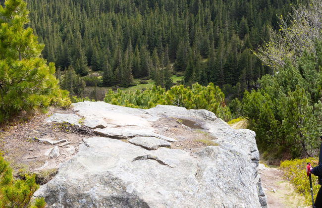 El Chico National Park Hiking & Meditation Activity - Photo 7