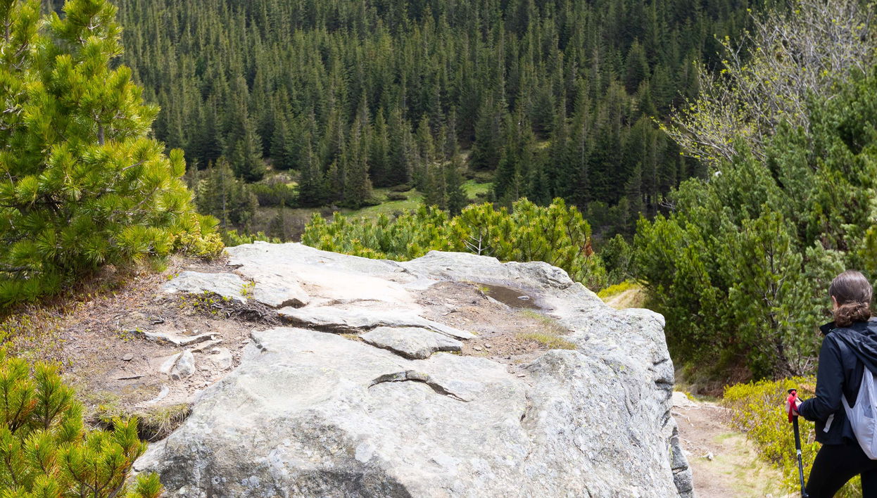 El Chico National Park Hiking & Meditation Activity