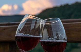 Chalé Rosa Linder - Alfredo Wagner-SC - Foto 5