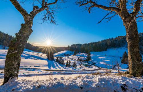 Fewo Turmblick - Foto 17