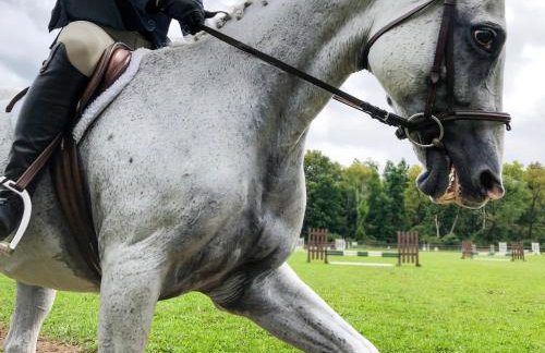 WOODSTOCK HISTORIC ARTIST ESTATE - THE MUSEUM HOUSE - Foto 36