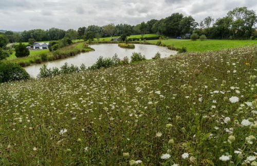 Charming tranquil Shepherds Hut with lakeside balcony 'Roach' - Foto 38