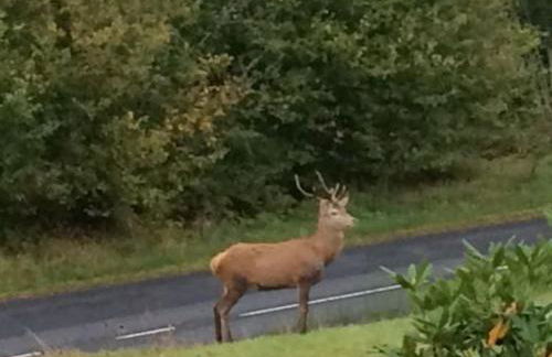 Chalet rénové proche du Valtin – Idéal pour famille, randonnées et ski, Wifi, luges fournies - FR-1-589-150 - Foto 27