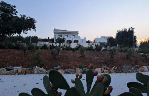 Casa Vacanze 'La Quercia' - Foto 80