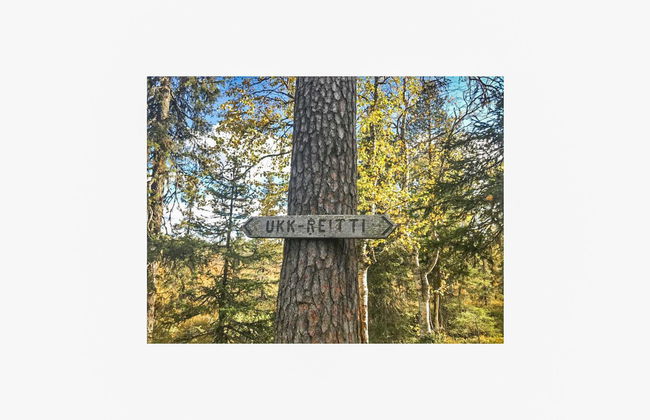 Örtsylä b - Foto 22