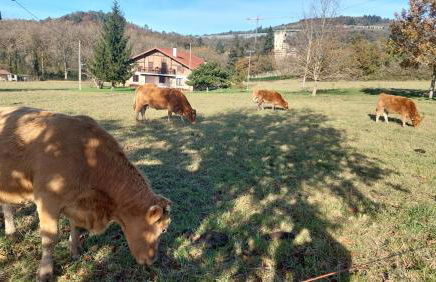 Caserio Aritziberre - Foto 7