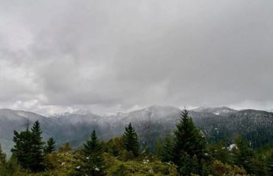 Surfside Beach House near Ancient Redwoods - Foto 34