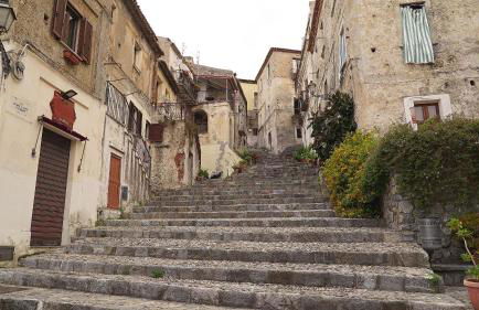 The Lemon Tree House - Photo 44