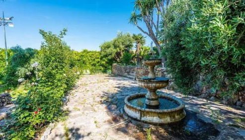 Spacious villa with private pool in Villamartin - Foto 3, Garden