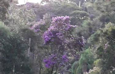 Cabana aconchegante na natureza - Foto 37