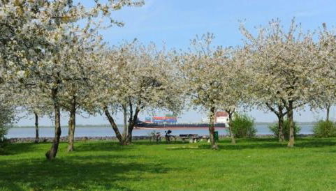 Blütenzauber Apartment No 4 - Photo 4