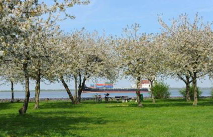 Blütenzauber Apartment No 7 - Photo 8