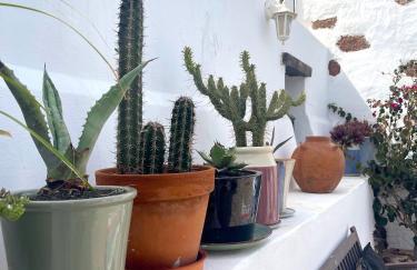 Casa MIALMA LANZAROTE - Photo 8