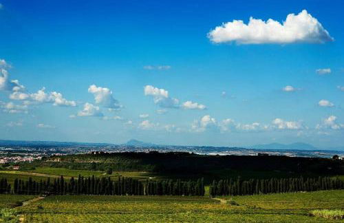 Merumalia Wine Resort - Foto 7