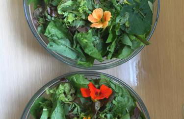 Agriturismo il Mulino - Foto 9