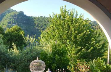 Monte A Pescia - Foto 56