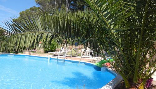 L'Oliveraie - Foto 5