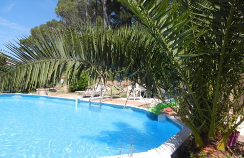 L'Oliveraie - Foto 5