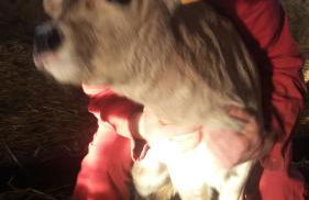 Agriturismo Fior Di Campo - Foto 81